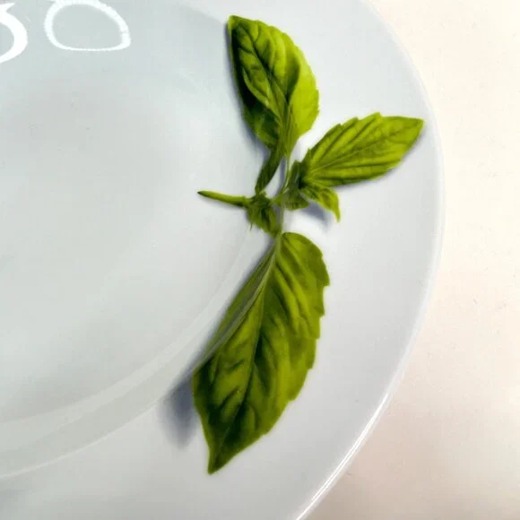 Crate & Barrel Herb Motif Porcelain Dinner Plates Set Of 2 - Picture 6 of 9